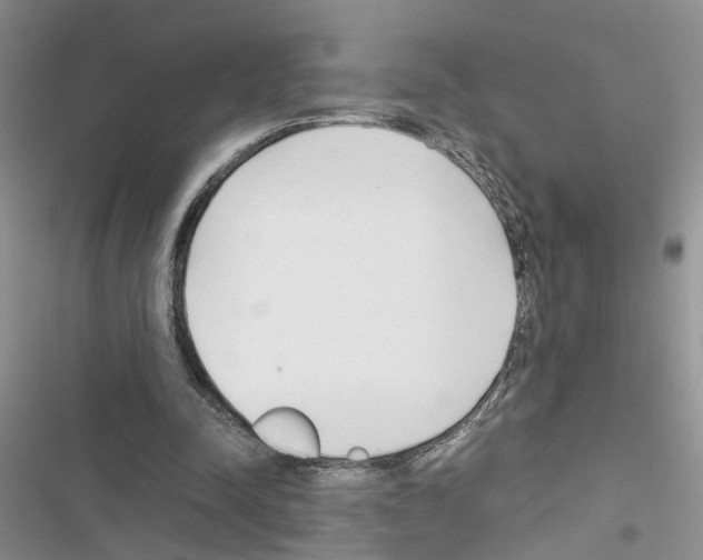 X0000116620342201001221344