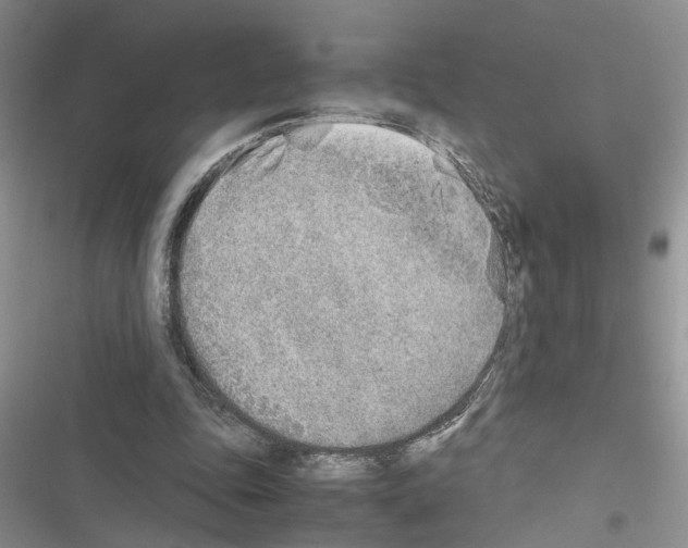 X0000116620343201001221344