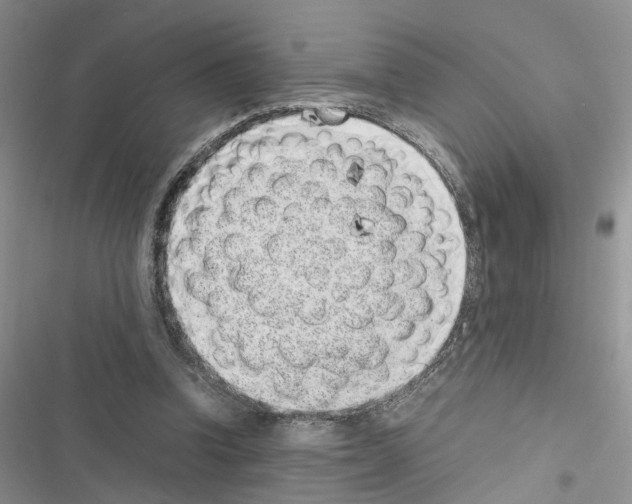 X0000116620346201001221344