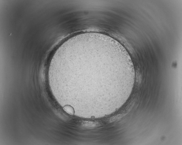 X0000116620347201001221344