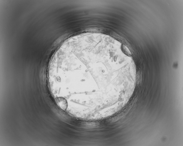 X0000116620349201001221344