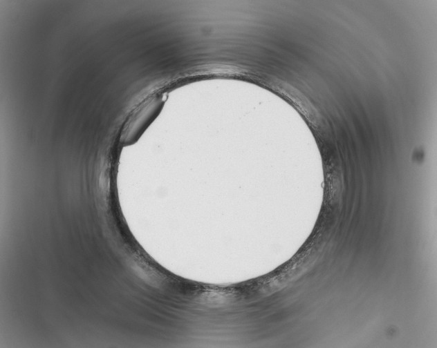 X0000116620350201001221344