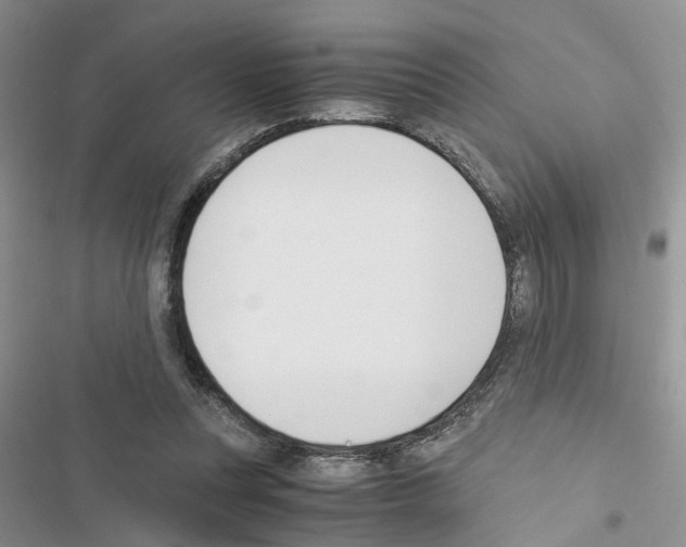 X0000116620351201001221344