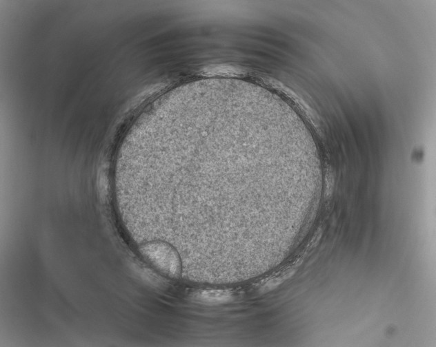 X0000116620353201001221344