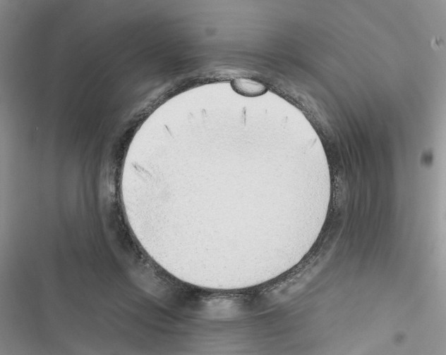 X0000116620358201001221344