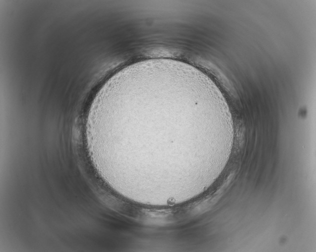 X0000116620359201001221344