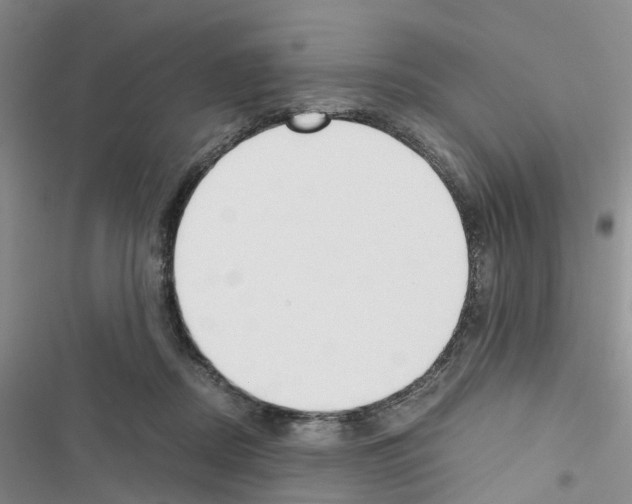 X0000116620362201001221344
