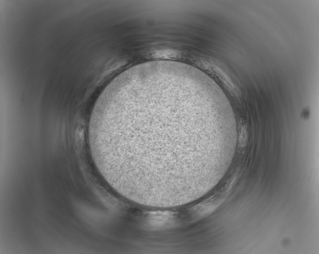 X0000116620363201001221345