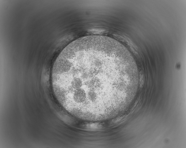 X0000116620365201001221345