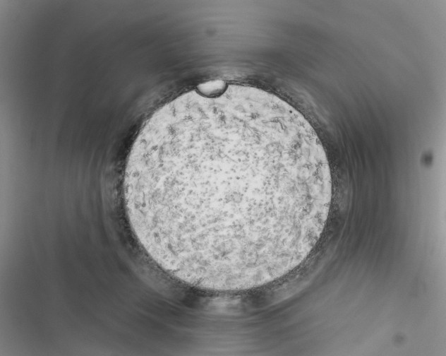 X0000116620366201001221345