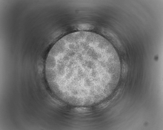 X0000116620367201001221345