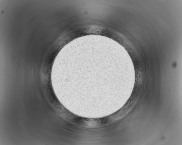 X0000116620370201001221345