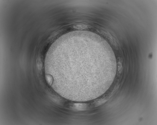 X0000116620371201001221345