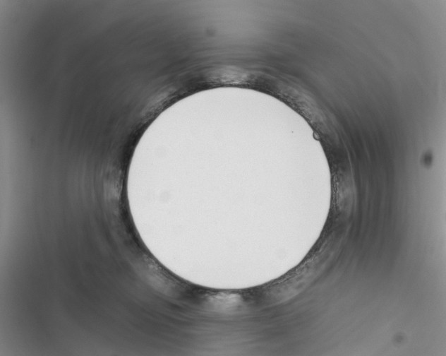 X0000116620374201001221345