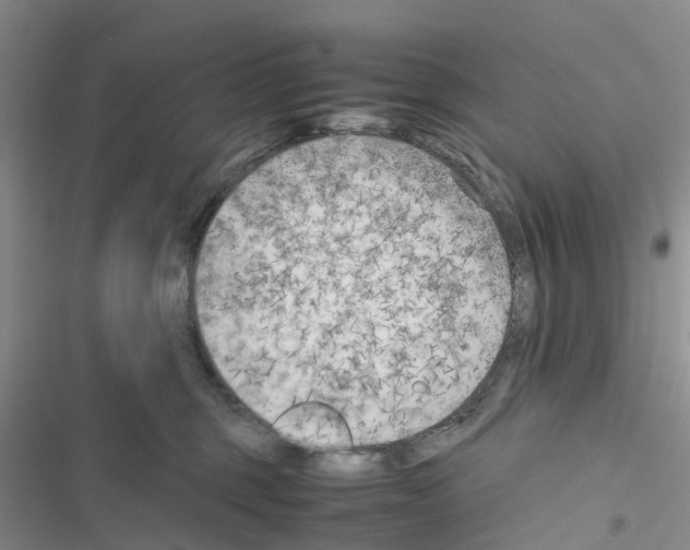 X0000116620375201001221345