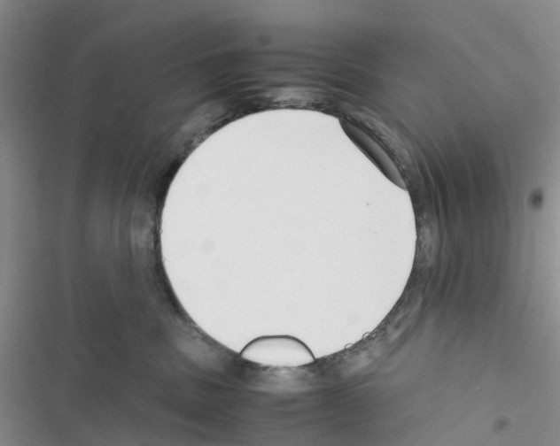 X0000116620379201001221345