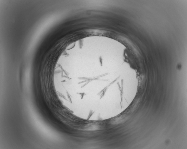 X0000116620381201001221345