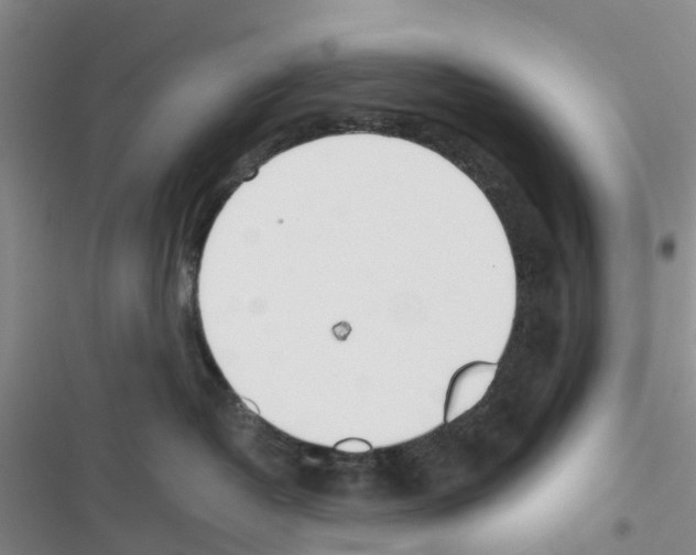X0000116620382201001221345
