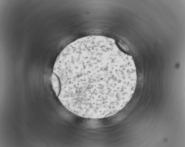 X0000116620383201001221345
