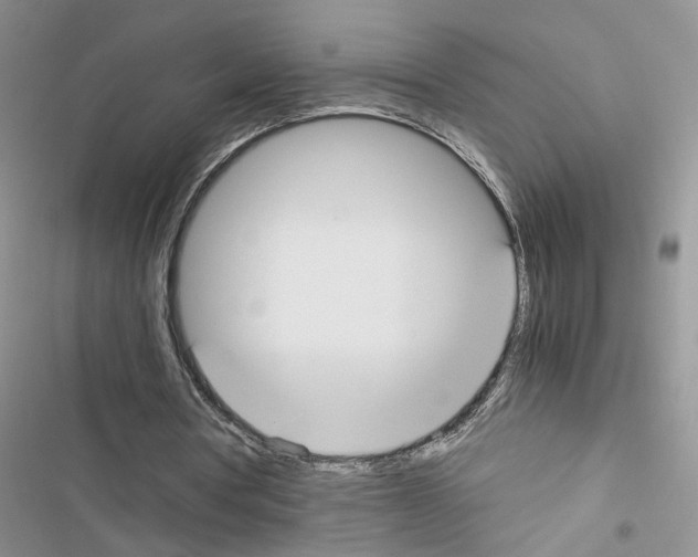 X0000116620386201001221344