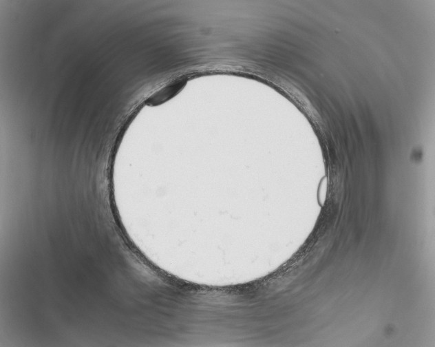X0000116620389201001221344