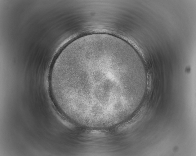 X0000116620390201001221344