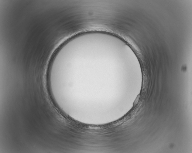 X0000116620391201001221344