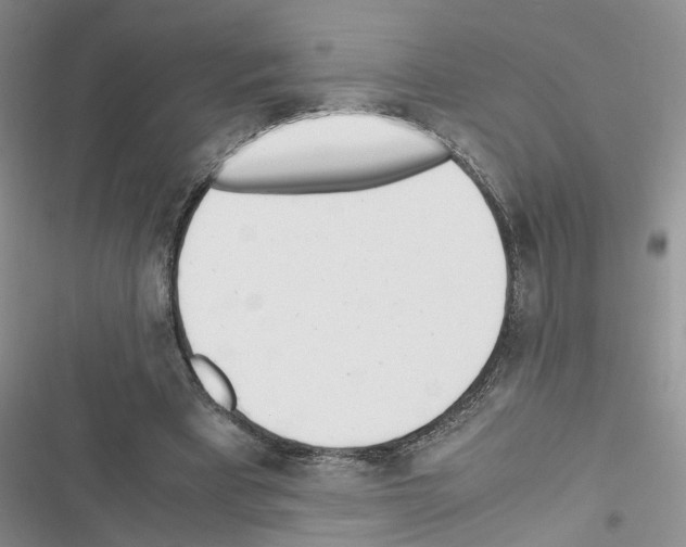 X0000116620393201001221344