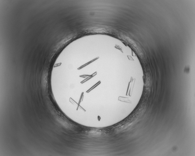 X0000116620394201001221344