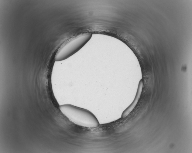 X0000116620395201001221344