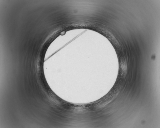 X0000116620396201001221344