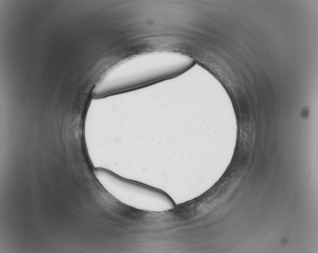 X0000116620397201001221344