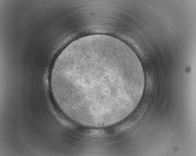 X0000116620398201001221344