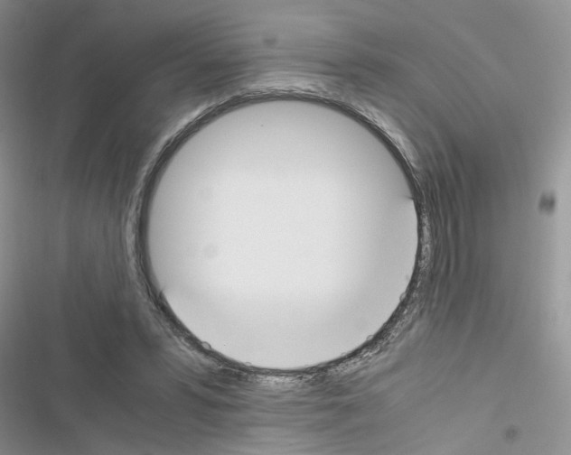 X0000116620399201001221344