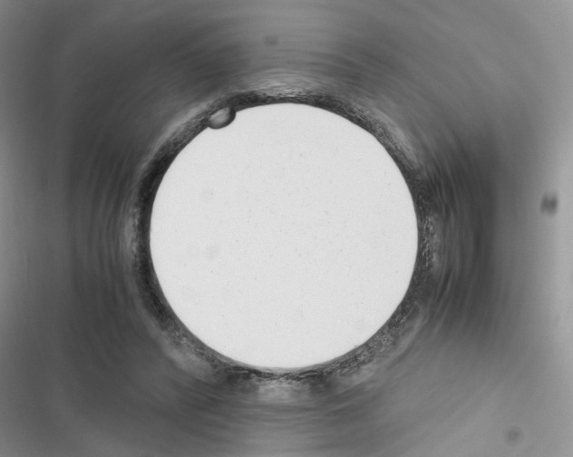 X0000116620400201001221344
