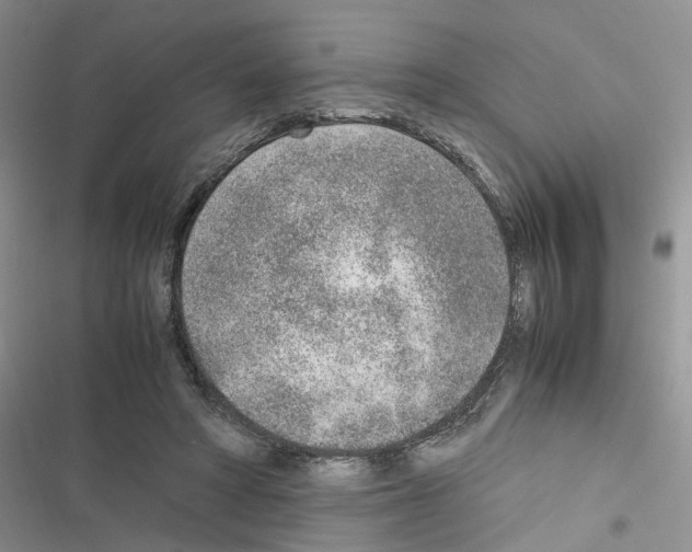 X0000116620402201001221344