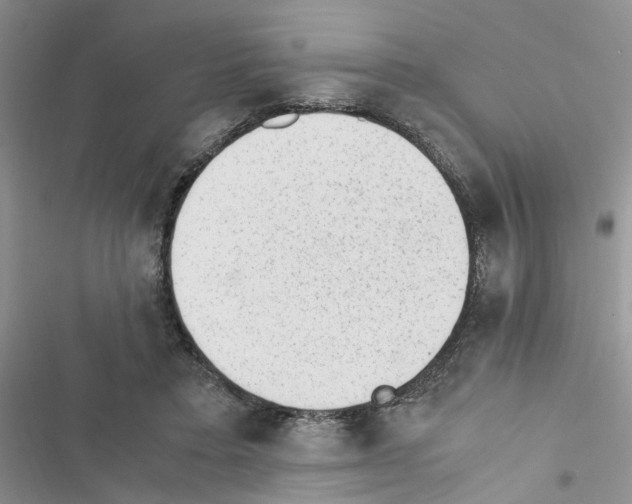 X0000116620403201001221344