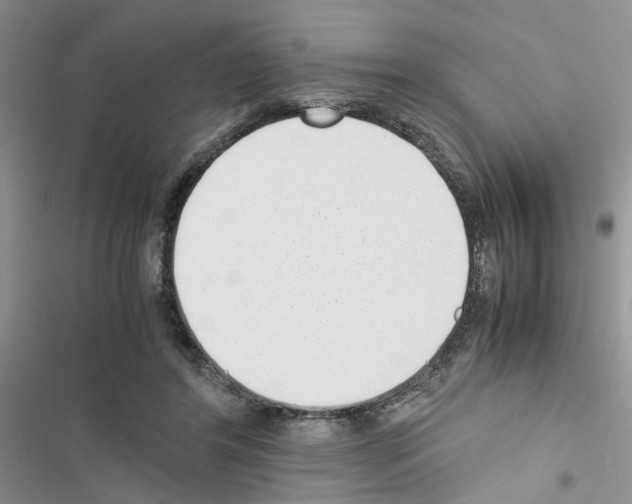 X0000116620404201001221344