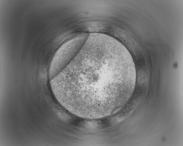 X0000116620405201001221344