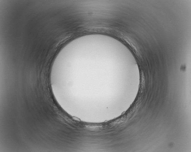 X0000116620407201001221344