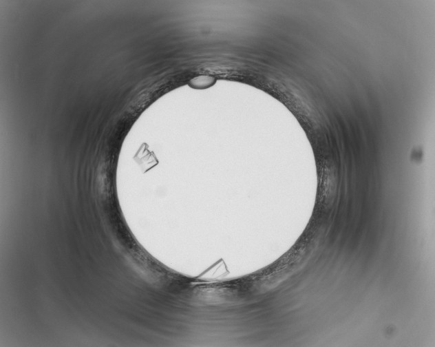 X0000116620408201001221344