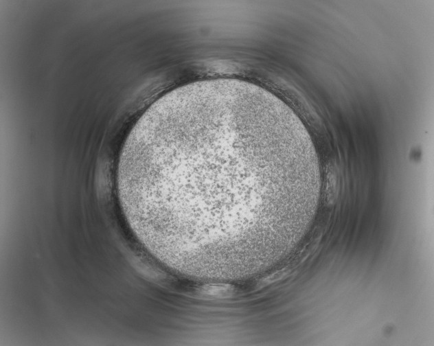 X0000116620410201001221344