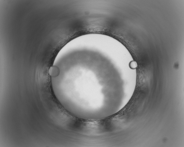 X0000116620411201001221344