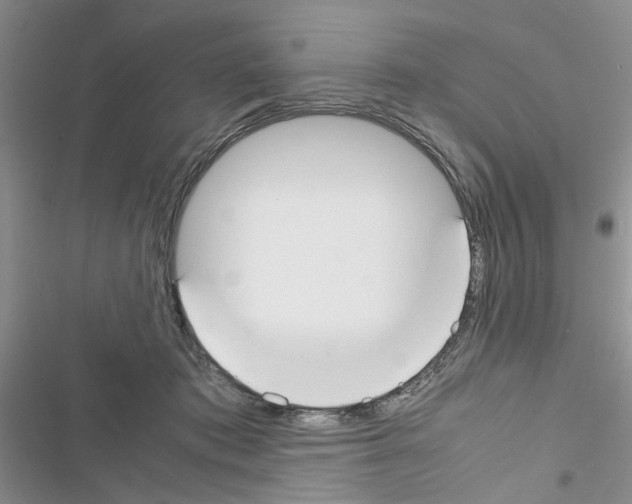X0000116620413201001221344