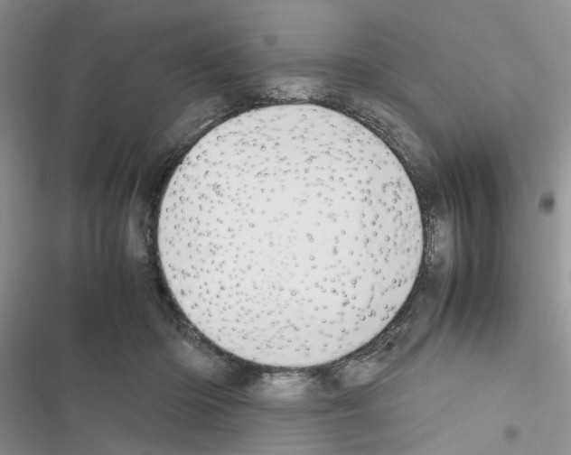 X0000116620414201001221344