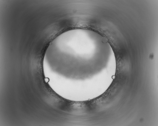 X0000116620415201001221344