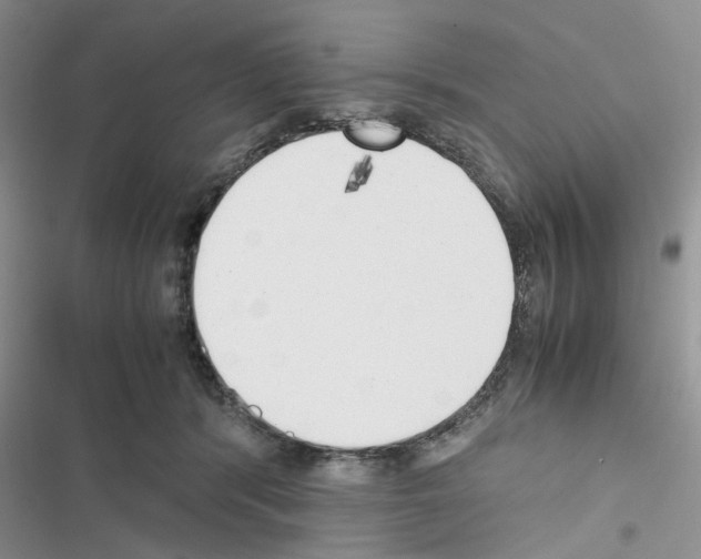 X0000116620416201001221344