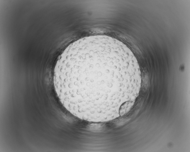 X0000116620418201001221344