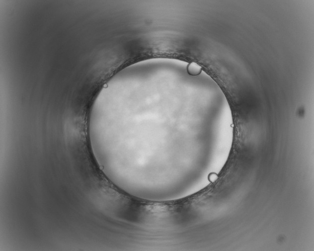 X0000116620419201001221344
