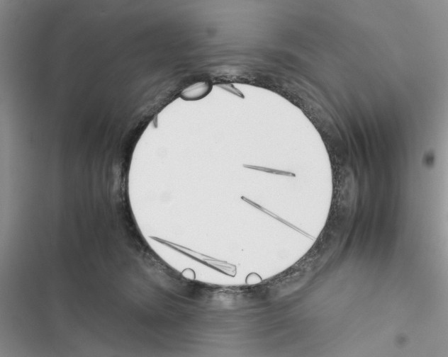X0000116620420201001221344